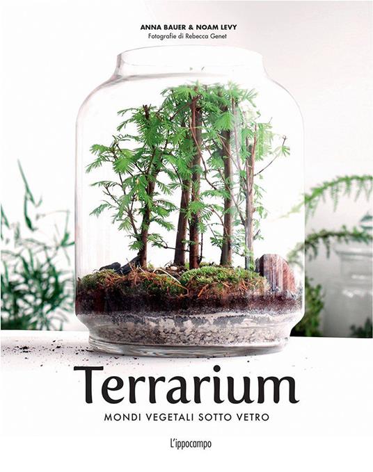 TerrariumMondiVegetaliSottoVetro-1