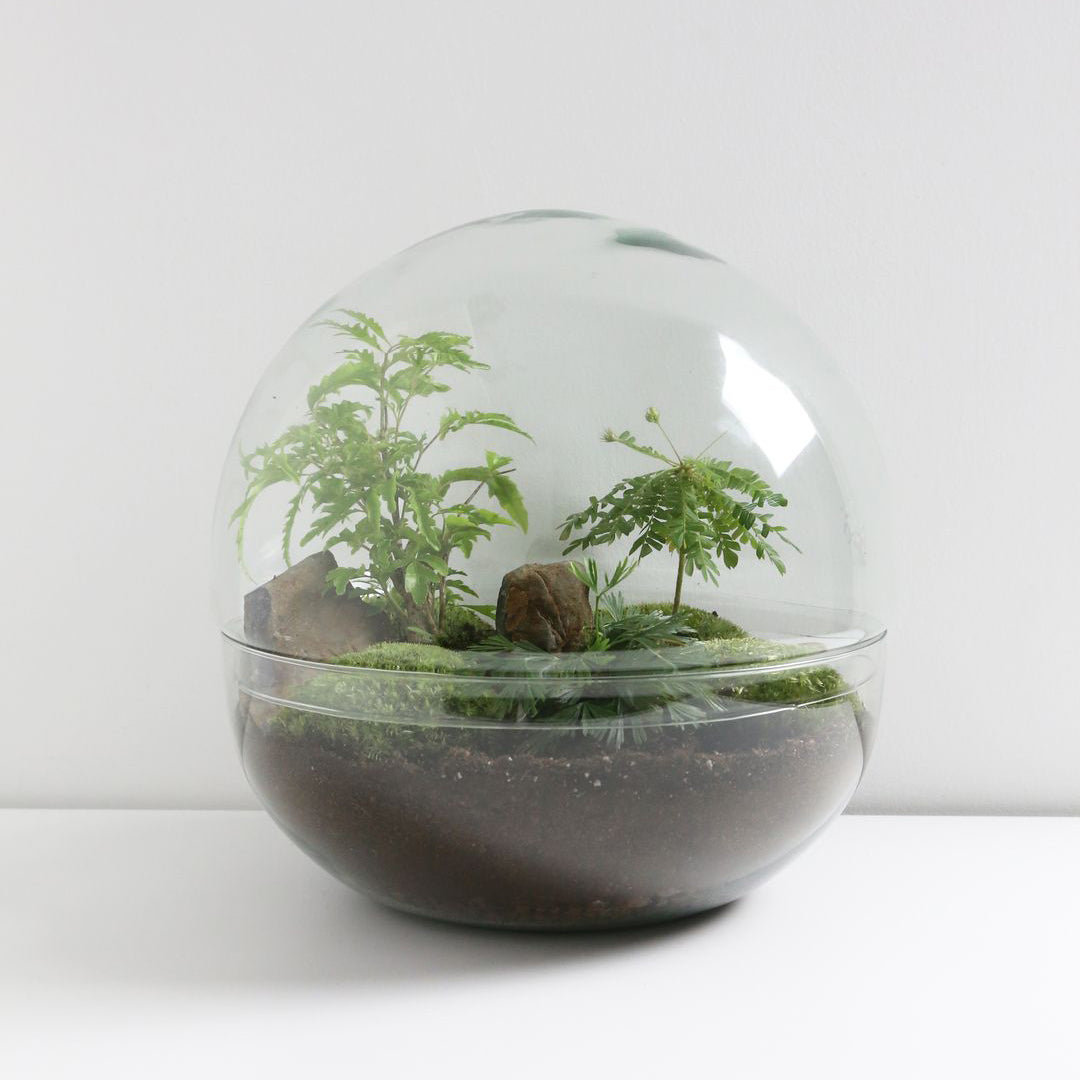 TerrariumSferaIndia-1-PLove