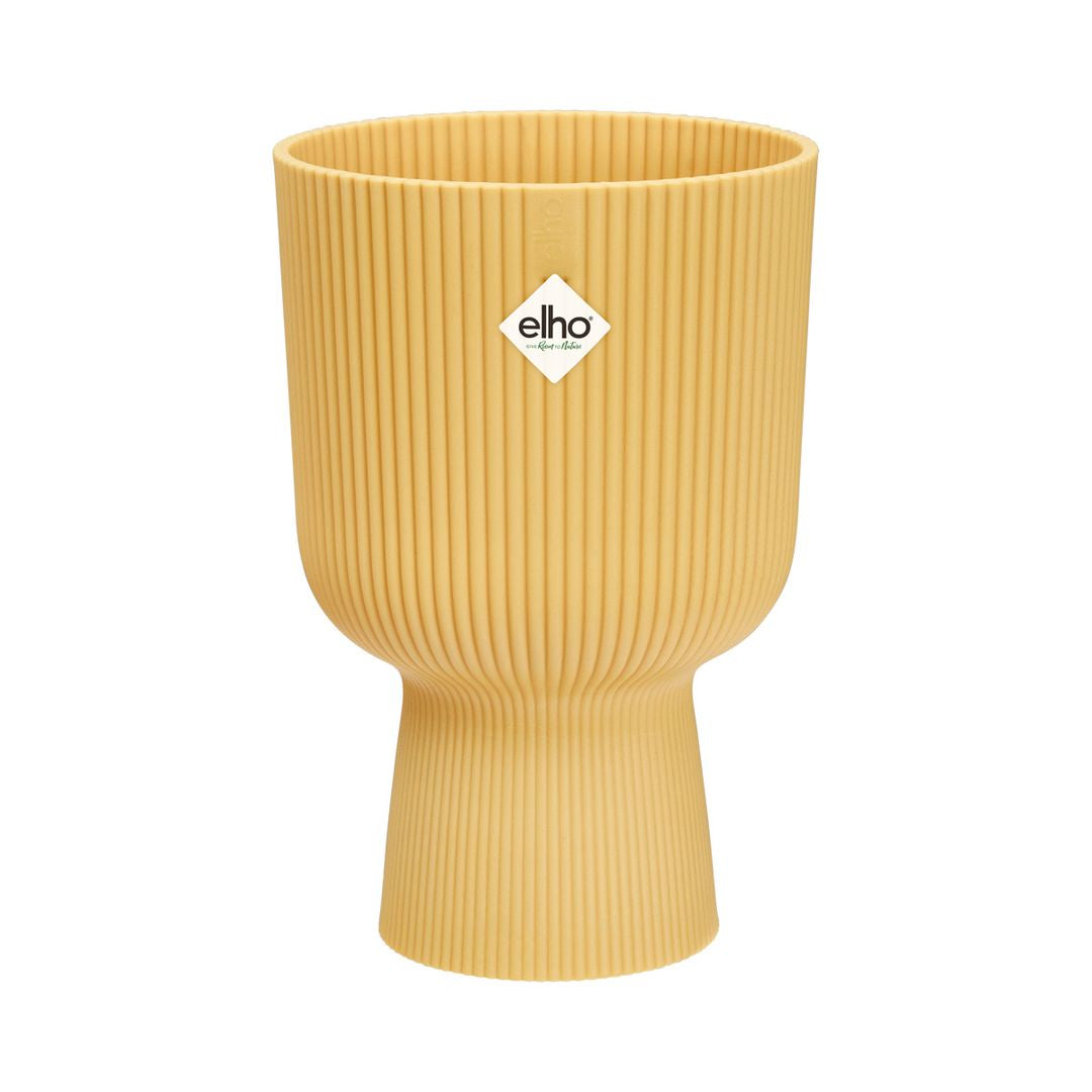 VibesCoupeYellow-1