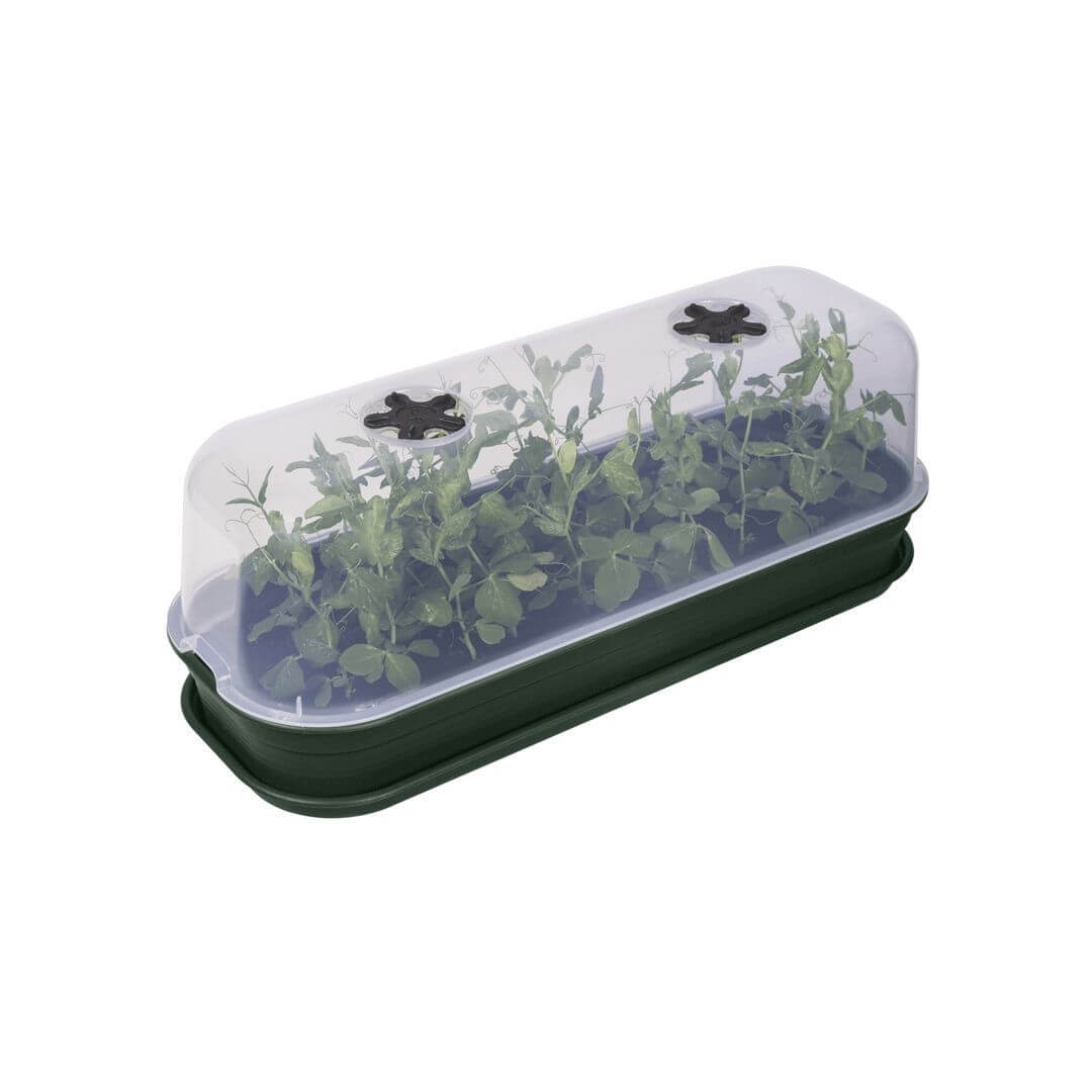green-basics-grow-house-l-basics-grow-all1one_leafgreen
