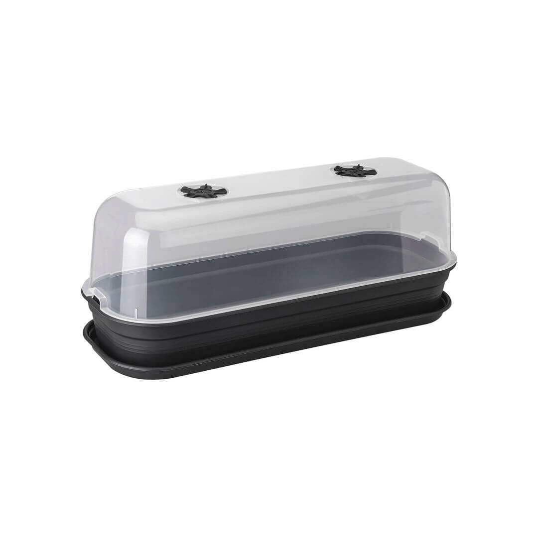 green basics grow house l living black combination tray + saucer.p1