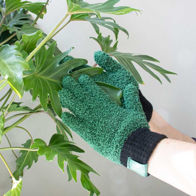 leaf-love-glove-botanopia-dusting-gloves-for-plants-thumbnail