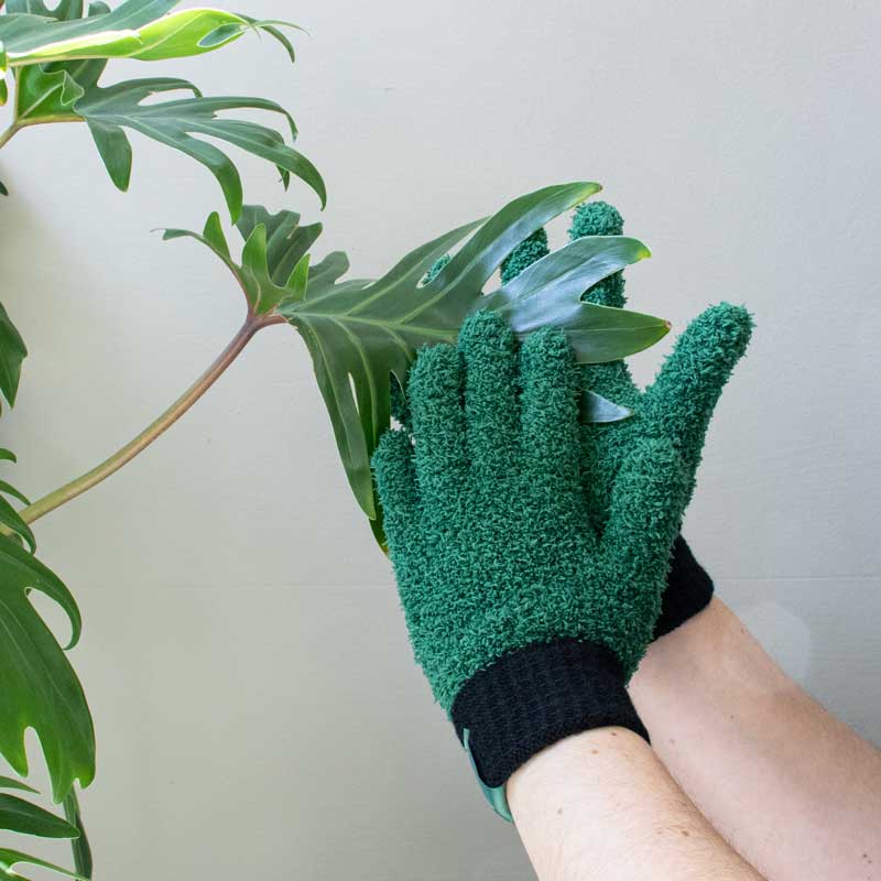 leaf-love-glove-botanopia-dusting-gloves-for-plants2