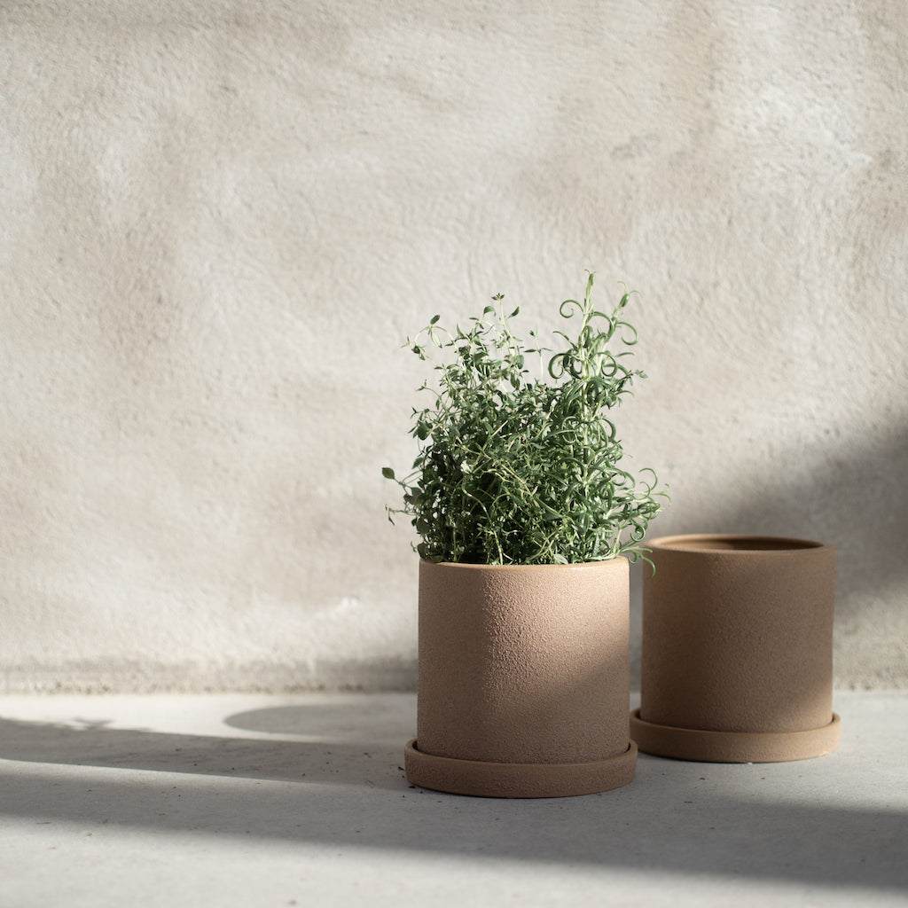 ss22_grow_sand_orangeri_square-5
