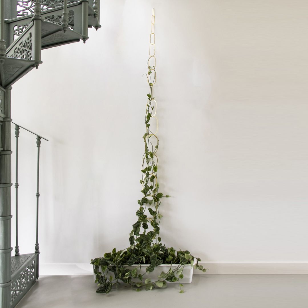 Set di fioriere in ottone / Contenitore per fiori dorato / Vaso per fiori con motivo a vortice - set da 2 pezzi - Italia Set di fioriere in ottone / Contenitore per fiori dorato / Vaso per fiori con motivo a vortice - set da 2 pezzi - Italia